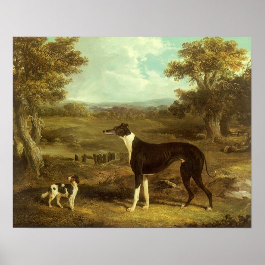 Hunde, Windhund und Spaniel, Doctor Fop by Herring Poster (Vorne)