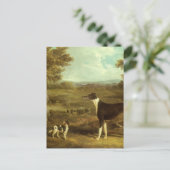 Hunde, Windhund und Spaniel, Doctor Fop by Herring Postkarte (Stehend Vorderseite)