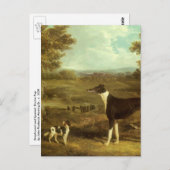 Hunde, Windhund und Spaniel, Doctor Fop by Herring Postkarte (Vorne/Hinten)