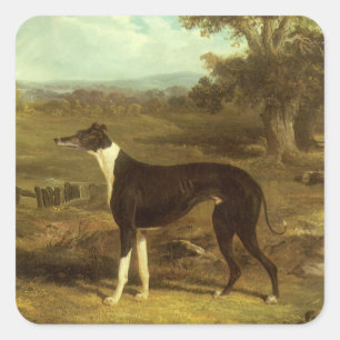 Hunde, Windhund und Spaniel, Doctor Fop by Herring Quadratischer Aufkleber