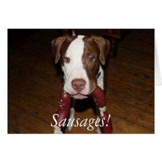 Hunde Wurst!