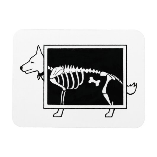 Hunde X-Ray Magnet (Horizontal)