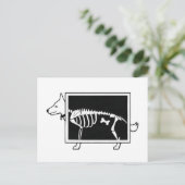 Hunde X-Ray Postkarte (Stehend Vorderseite)