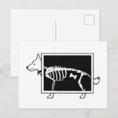 Hunde X-Ray Postkarte (Vorne/Hinten)