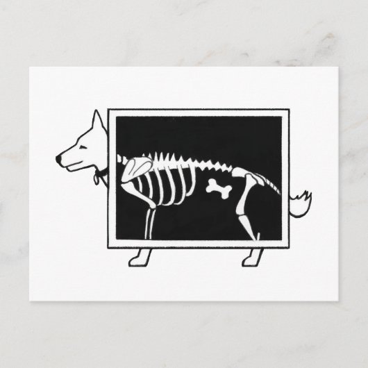 Hunde X-Ray Postkarte (Vorderseite)