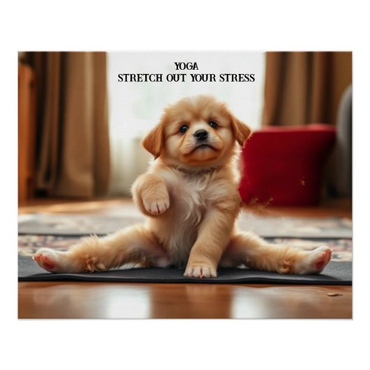 Hunde Yoga Poster (Vorderseite)