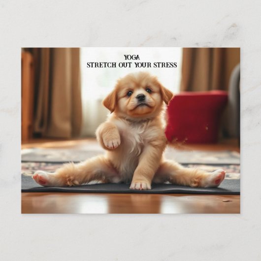 Hunde Yoga Postkarte (Vorderseite)