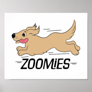 Hunde-Zoomies Poster