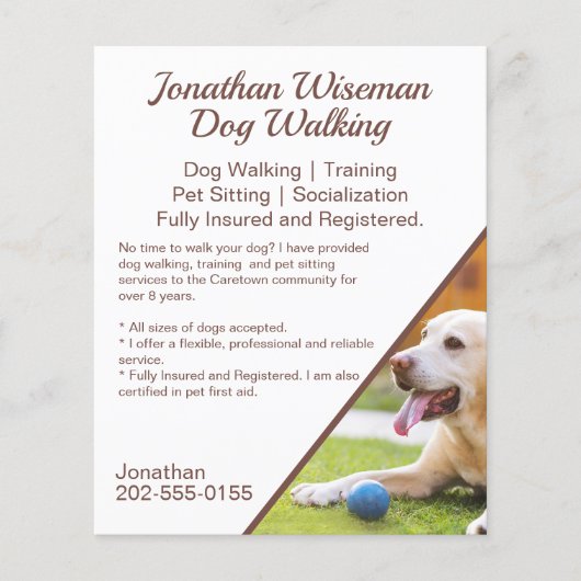 Hunde zu Fuß Haustiere Sitting Business-Werbung Flyer (Vorne)