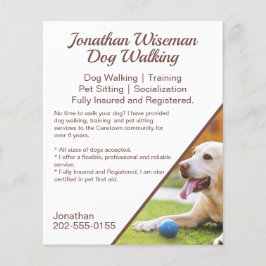Hunde zu Fuß Haustiere Sitting Business-Werbung Flyer