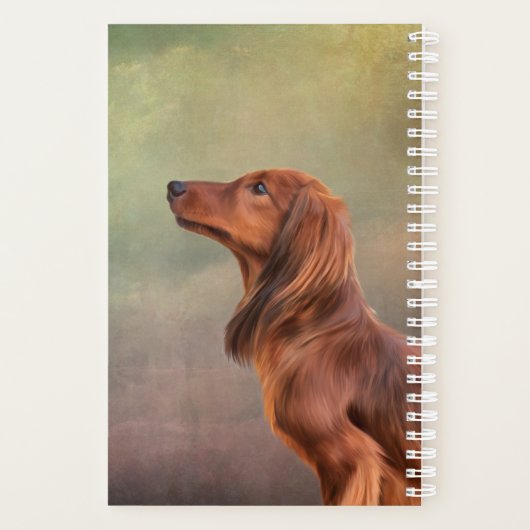 Hunde züchten Dackel Planer (Rückseite)