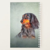 Hunde züchten Dackel Planer (Rückseite)