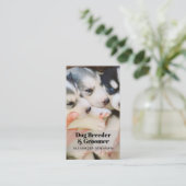 Hunde Züchter & Groomer Foto QR Code Business Card Visitenkarte (Stehend Vorderseite)