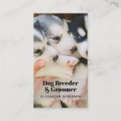 Hunde Züchter & Groomer Foto QR Code Business Card Visitenkarte (Vorderseite)