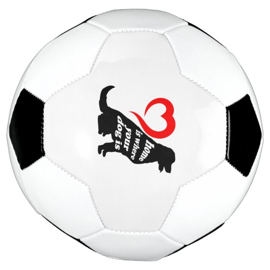 Hunde Zuhause Fußball (Gedreht)