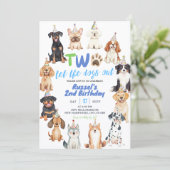 Hunde zweiter Geburtstag Einladung (Stehend Vorderseite)