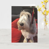 HundeAbschluss-Karte Karte (Gelbe Blume)