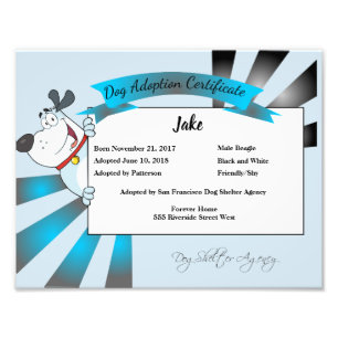 HundeAdoptions-Zertifikat Fotodruck