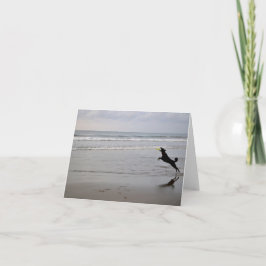 Hundeanziehende Strandfrisbee-Anmerkungs-Karte Karte