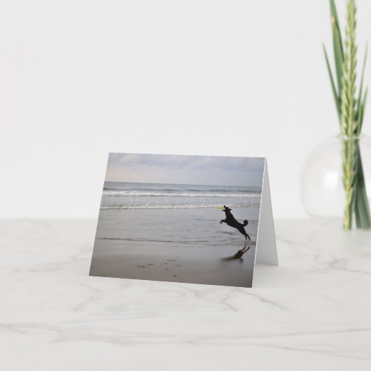 Hundeanziehende Strandfrisbee-Anmerkungs-Karte Karte (Vorderseite)