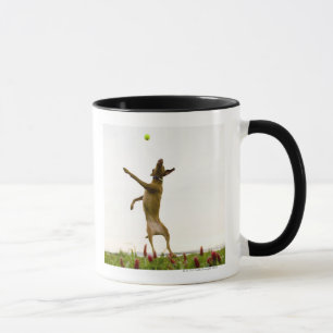 Hundeanziehender Tennisball im mitten in der Luft Tasse
