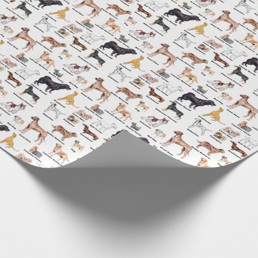 Hundearten Verpackung Geschenkpapier (Ecke)