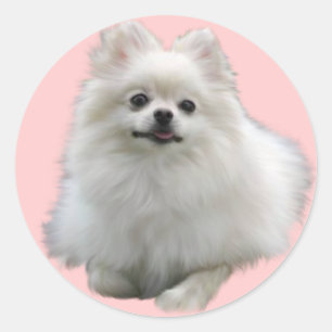 Hundeaufkleber Lrg Runder Aufkleber