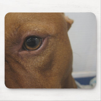 Hundeauge Mousepad