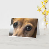 Hundeaugen Karte (Gelbe Blume)