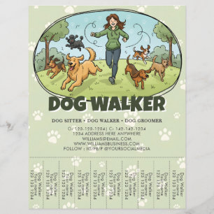 Hundeausführer Hundespazierdienst Custom Flyer