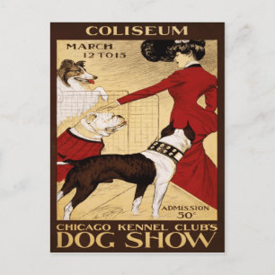 Hundeausstellung des Chicago Kennel Clubs 1902 Postkarte