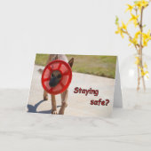 Hundeausweis Karte (Gelbe Blume)