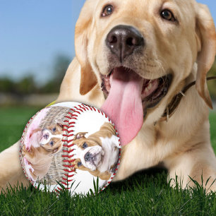Hundebaby-Foto-Collage-Andenken Baseball