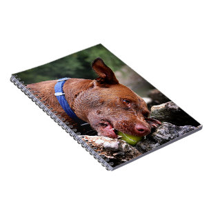 Hundebahn / Nase Nah hoch / Makro 2 Notizblock