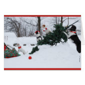 Hundebarte (Vorderseite (Horizontal))