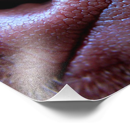 Hundebase Fotodruck (Ecke)