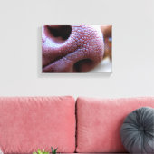 Hundebase Leinwanddruck (Insitu (Wohnzimmer))