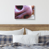 Hundebase Leinwanddruck (Insitu (Schlafzimmer))