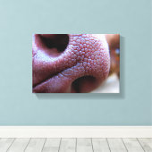 Hundebase Leinwanddruck (Insitu (Holzboden))