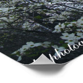 Hundebaum Poster (Ecke)