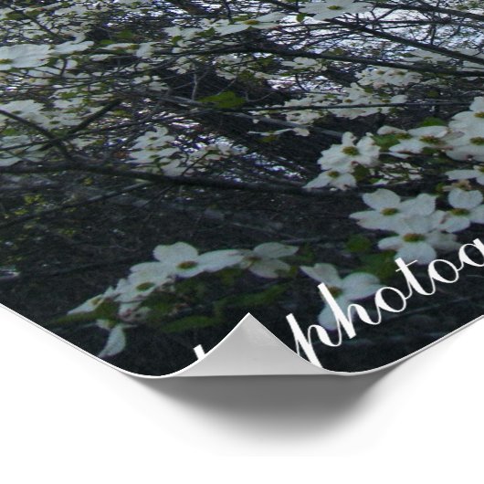 Hundebaum Poster (Ecke)