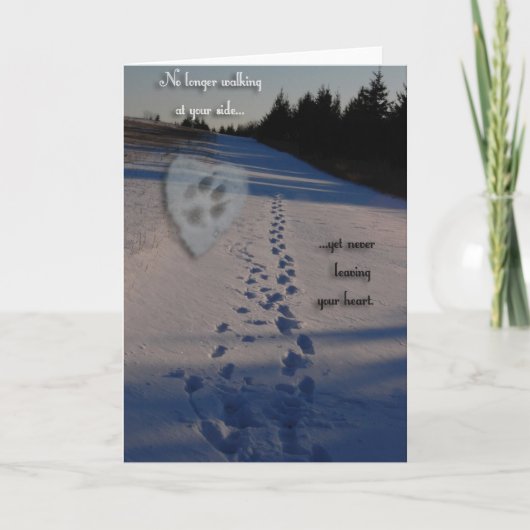 HundeBeileid Karte (Vorderseite)