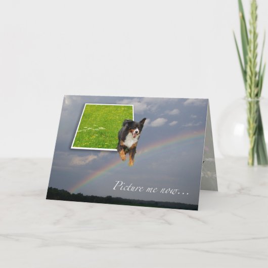 HundeBeileid Regenbogenkarte Karte (Vorderseite)