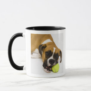 Hundebeißender Tennisball Tasse