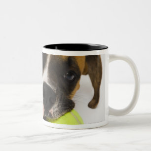 Hundebeißender Tennisball Zweifarbige Tasse