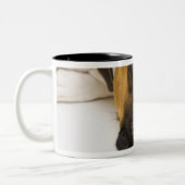 Hundebeißender Tennisball Zweifarbige Tasse (Links)