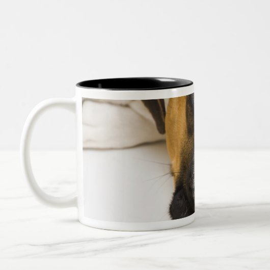 Hundebeißender Tennisball Zweifarbige Tasse (Links)