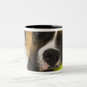 Hundebeißender Tennisball Zweifarbige Tasse (Mittel)