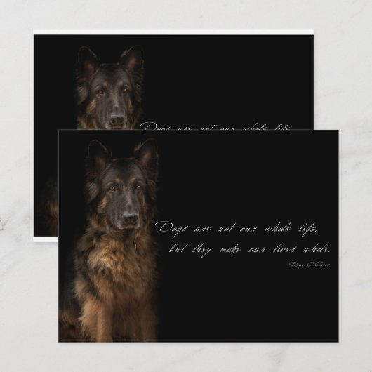 "Hundebeiträge" Postkarte (Vorne/Hinten)