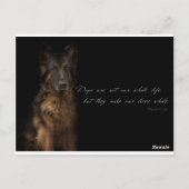 "Hundebeiträge" Postkarte (Rückseite)